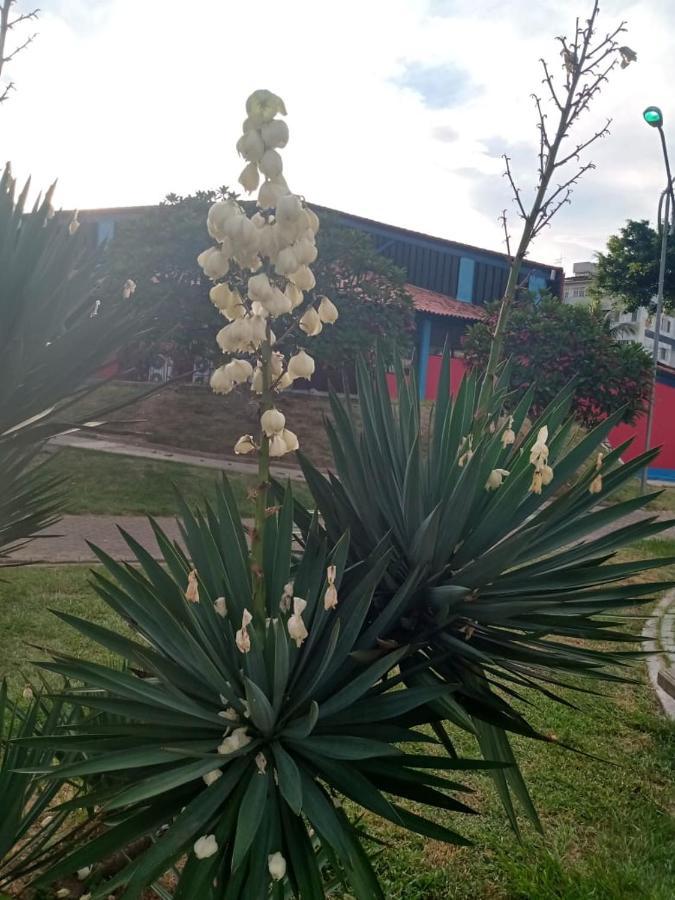 Apartamento Mobiliado 10 Minutos Da Praia Do Forte กาโบฟรีโอ ภายนอก รูปภาพ